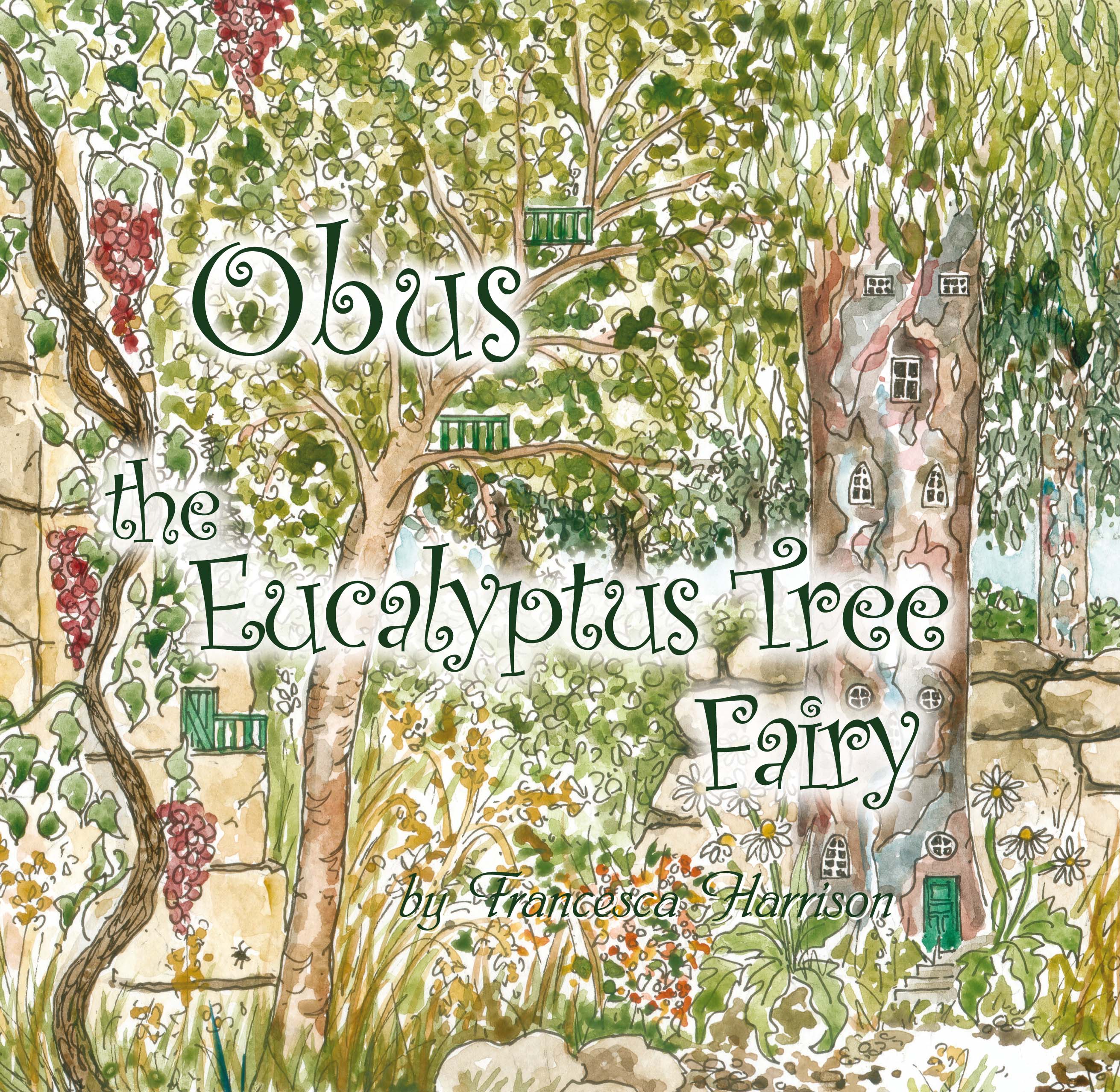 Book Cover Harry the walnut tree fairy